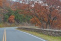 The winding Skyline Drive through the Fall colored trees. In Shenandoah National Park on the Blue Ridge Mountains of Virginia Royalty Free Stock Photo