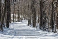 Winding snow covered country road