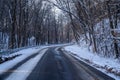 Winding snow covered road in rural Minnesota during winter, lined with trees Royalty Free Stock Photo