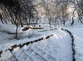 Winding snow-covered stairway in winter park, Cherkasy, Ukraine