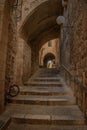 Winding stone footpath leading to a set of steps, surrounded by lush green foliage: Jerusalem Royalty Free Stock Photo