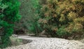 Winding stone path going through a forest in the Pustinja Blaca, desert remote area on the island of brac in croatia. Green and Royalty Free Stock Photo