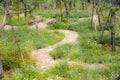 A winding stone path in the hilltop garden Royalty Free Stock Photo