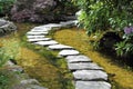 Winding Stone Pathway Through a Garden Pond