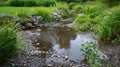 A winding stream now reduced to a mere trickle struggling to sustain the plants and animals that depend on it for