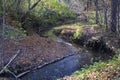 A winding stream in the wilds of the forest among fallen trees and fallen red leaves in autumn Royalty Free Stock Photo