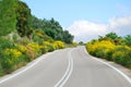 Winding tarmac road with flowers