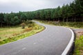 Winding tarmac road M-611 through pine tree forest in Cuenca Alta del Manzanares Regional Park, Central Spain