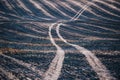 The winding track is laid over a wheat field burnt by fire Royalty Free Stock Photo