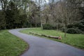 Winding track road surrounded by trees in a forest