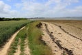 Winding track by the sea and trails of washed up seaweed on the beach Royalty Free Stock Photo