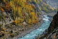 Winding river flowing through Karakoram mountain range along colorful foliage trees in autumn Royalty Free Stock Photo
