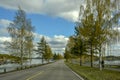 Winding two-sided asphalt road through spring birch and pine-tree forest, blue cloudy sky