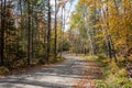 Deserted unmade forest road on a sunny autumn day Royalty Free Stock Photo