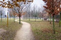 Winding Unpaved Path in a Park on a Winter Morning Royalty Free Stock Photo