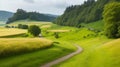 A winding village road surrounded by tall, swaying grass Royalty Free Stock Photo