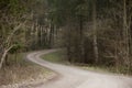 Winding walkway through forest wood land road in fall