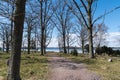 Winding walkway by seaside Royalty Free Stock Photo