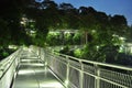 Winding walkway upwards in a forest