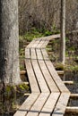 Winding wooden boardwalk over a wetland area at Solitude Nature Reserve in Elgin County, Ontario, Canada.