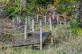 Winding Wooden Boardwalk, Overgrown Garden