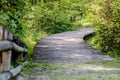 A winding wooden bridge in the forest. A forest path leading across a bridge in a dendrological park.