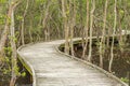 Winding wooden footbridge Royalty Free Stock Photo