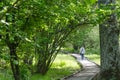 Winding wooden footpath with a walking woman in a nature reserve