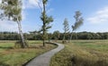 A winding wooden hiking trail