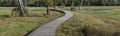 A winding wooden hiking trail