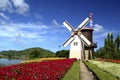 Windmil in the garden Royalty Free Stock Photo