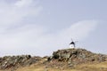 Windmill Royalty Free Stock Photo