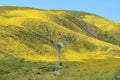 Windmill Against Hillside of Wildflowers along California Highway 58