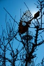 Windmill for agricultural activities in spain