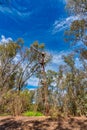 Windmill at the Alcoa Wellard wetlands in Perth Royalty Free Stock Photo