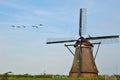 Windmill and bird