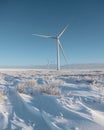 Windmill blades turning slowly in a vast meadow on the edge of a snowy tundra, crisp morning, high detail, eye-level shot