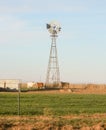 Windmill and cattle in texas panhandle