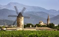 Windmill and church, vineyards, Binissalem, Serra de Tramuntana, UNESCO World Heritage, Majorca