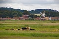 Windmill at Cley next the Sea Royalty Free Stock Photo