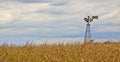 Windmill corn field Royalty Free Stock Photo