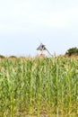 Windmill in cornfield, France Royalty Free Stock Photo