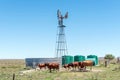 Windmill, dam, water storage ranks and cattle on road R369