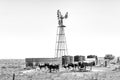 Windmill, dam, water storage tanks and cattle. Monochrome