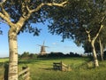 Windmill De Hond