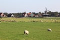 Windmill De Verwachting, Hollum, Ameland, Holland Royalty Free Stock Photo