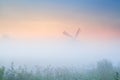 Windmill in dense fog at sunrise Royalty Free Stock Photo