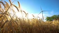 Windmill For Electric Power Production In The Yellow Field Of Wheat