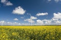 Windmill Farm