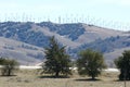 Windmill Farm